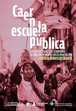 portada Caer en la Escuela Publica las Estrategias del Gobierno de Mauricio Macri en la Educacion (in Spanish)