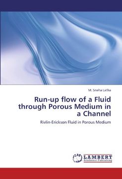 portada Run-Up Flow of a Fluid Through Porous Medium in a Channel (en Inglés)