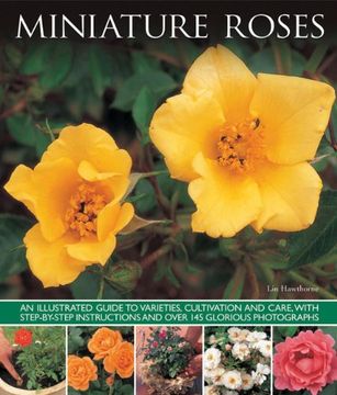 portada Miniature Roses