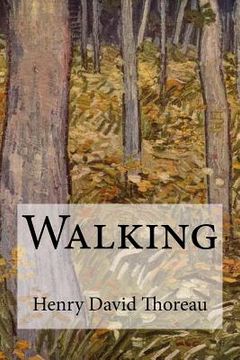 portada Walking