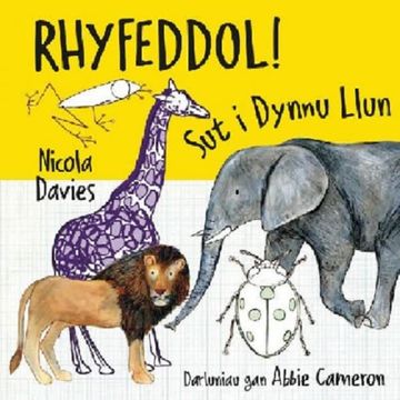 portada Rhyfeddol! Sut i Dynnu Llun (in Welsh)