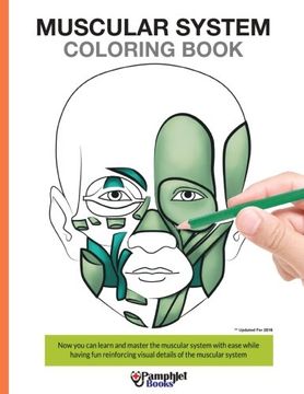 portada Muscular System Coloring Book: Now you can learn and master the muscular system with ease while having fun (in English)