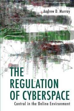 portada The Regulation of Cyberspace: Control in the Online Environment (in English)