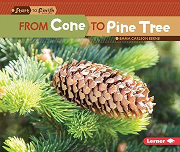 portada From Cone to Pine Tree (Start to Finish Second Series)