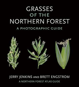 portada Grasses of the Northern Forest: A Photographic Guide (The Northern Forest Atlas Guides) 