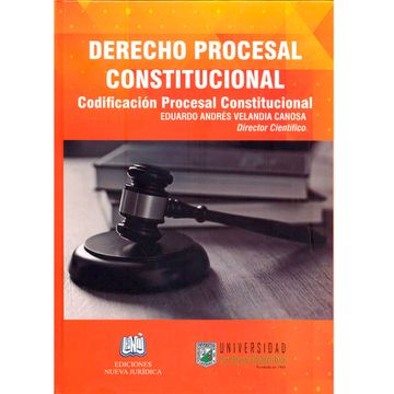 portada DERECHO PROCESAL CONSTITUCIONAL (in Spanish)