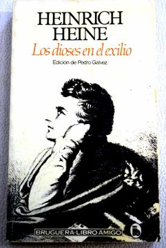 Los dioses en el exilio 