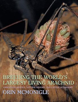 portada Breeding the World's Largest Living Arachnid: Amblypygid (Whipspider) Biology, Natural History, and Captive Husbandry (en Inglés)