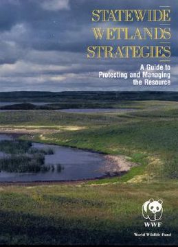 portada Statewide Wetlands Strategies (en Inglés)
