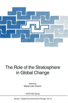 portada the role of the stratosphere in global change (en Inglés)