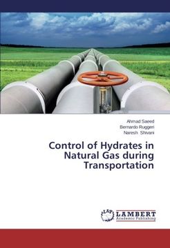 portada Control of Hydrates in Natural Gas During Transportation