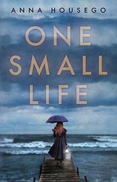 portada One Small Life (en Inglés)
