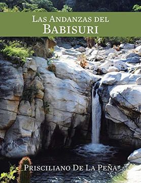 portada Las Andanzas del Babisuri (in Spanish)