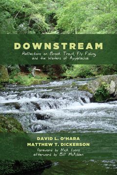 portada Downstream