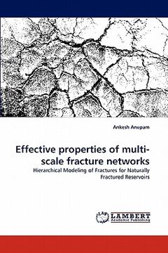 portada effective properties of multi-scale fracture networks (en Inglés)