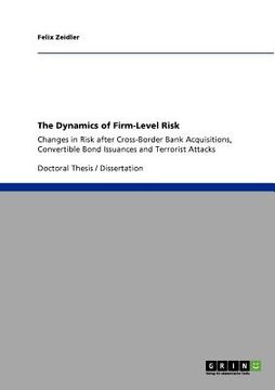 portada the dynamics of firm-level risk (en Inglés)
