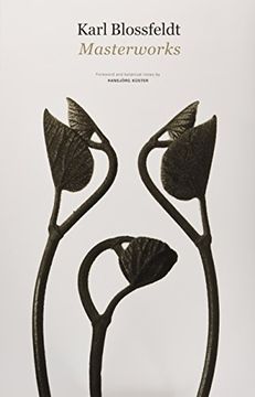 portada Karl Blossfeldt: Masterworks