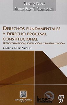 portada DERECHOS FUNDAMENTALES Y DERECHO PROCESAL CONSTITUCIONAL