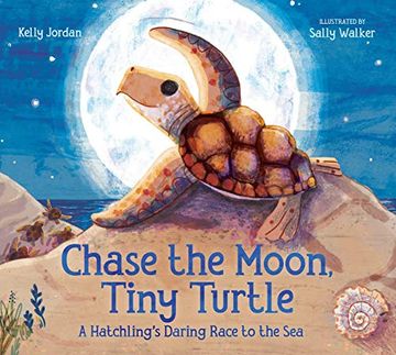 portada Chase the Moon, Tiny Turtle: A Hatchling'S Daring Race to the sea (in English)