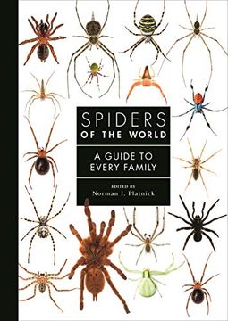 portada Spiders of the World: A Guide to Every Family: A Natural History (libro en Inglés)
