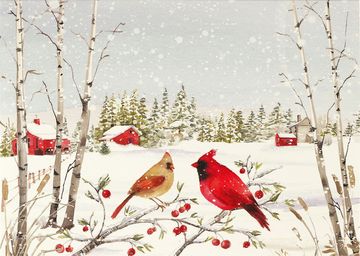 portada Cardinals in Winter Deluxe Boxed Holiday Cards (in English)