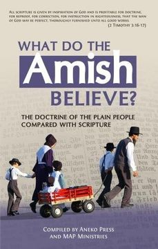portada What Do the Amish Believe?: The Doctrine of the Plain People Compared with Scripture
