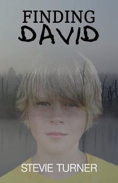 portada Finding David: A Paranormal Short Story (en Inglés)