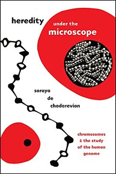 portada Heredity Under the Microscope: Chromosomes and the Study of the Human Genome (in English)