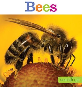 portada Seedlings: Bees