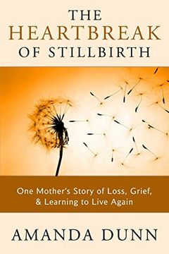 portada The Heartbreak of Stillbirth: One Mother's Story of Loss, Grief, and Learning to Live Again (en Inglés)