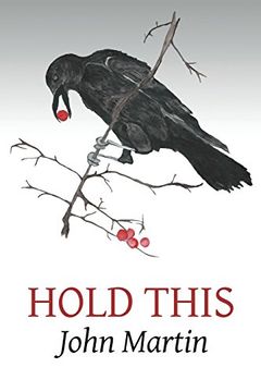 portada Hold This (Louis Award Series)