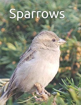 portada Sparrows: Senior Reader Study Bible Reading in Extra-Large Print for Memory Care With Colorful Photos, Reminiscence Questions, and Coloring Activities (en Inglés)
