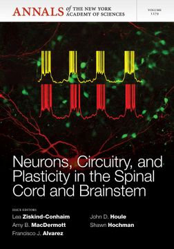 portada Neurons, Circuitry, And Plasticity In The Spinal Cord And Brainstem