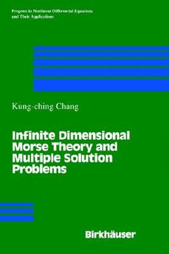 portada infinite dimensional morse theory and multiple solution problems (in English)