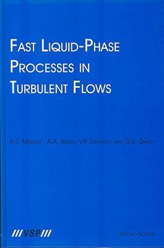 portada Fast Liquid-Phase Processes in Turbulent Flows (en Inglés)