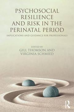 portada Psychosocial Resilience and Risk in the Perinatal Period: Implications and Guidance for Professionals
