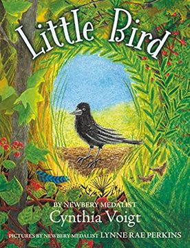 portada Little Bird (in English)