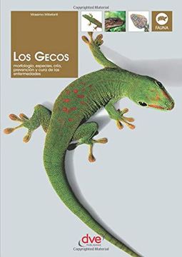 portada Los Gecos (in Spanish)
