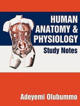 human anatomy and physiology,study notes (en Inglés)