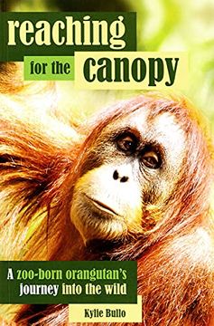 portada Reaching for the Canopy: A Zoo-Born Orangutan'S Journey Back to the Wild (en Inglés)