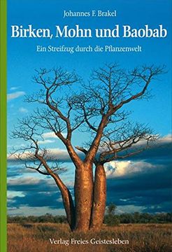 portada Birken, Mohn und Baobab: Ein Streifzug Durch die Pflanzenwelt (en Alemán)