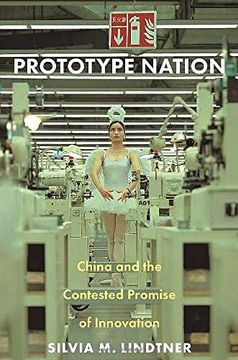 portada Prototype Nation: China and the Contested Promise of Innovation (Princeton Studies in Culture and Technology) (in English)