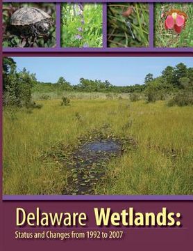 portada Deleware Wetlands: Status and Changes from 1992 to 2007