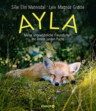 portada Ayla - Meine Ungewöhnliche Freundschaft mit Einem Jungen Fuchs (en Alemán)
