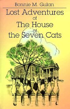portada lost adventures of the house of the seven cats (en Inglés)