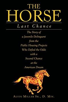 portada The Horse: Last Chance (en Inglés)