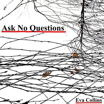 portada Ask no Questions (en Inglés)