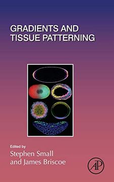 portada Gradients and Tissue Patterning (Current Topics in Developmental Biology) (en Inglés)