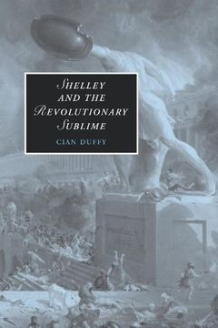 portada Shelley and the Revolutionary Sublime (Cambridge Studies in Romanticism) (in English)