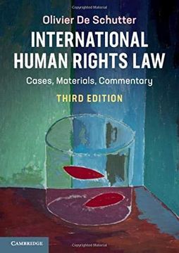 portada International Human Rights Law: Cases, Materials, Commentary (en Inglés)
